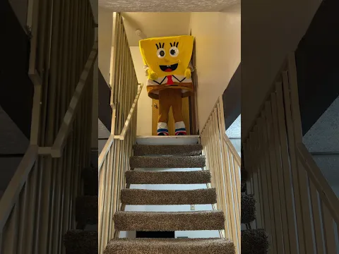 Oh barnacles! Not again! #stairs #fail