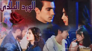 الورد البلدى اصاله طائر الصباح حب ابيض واسود نهر يجري خلاله Multicouples 