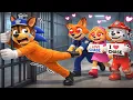 Lagu ¿CHASE PRISIONERO vs. CLUB DE FAMOSOS LOCOS? ¿Podrá CHASE escapar? - PAw PaTrol en Español