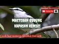 Download Lagu Masteran pikat burung kapasan kemiri anti zonk