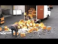 Download Lagu Total Idiots at Work | 100% Morons 🥴
