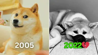 Iconic Dog Memes Then Vs Now