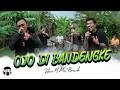 Download Lagu OJO DI BANDENGKE - MAS BREWOK Feat SATRIA (Official Live Music Video)