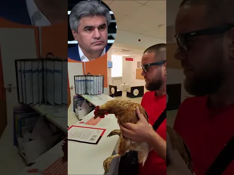 Принёс курицу в МФЦ