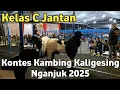 Download Lagu KELAS C JANTAN KONTES KAMBING KALIGESING NGANJUK 2025