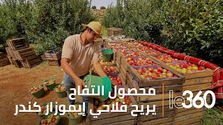 موسم واعد للتفاح بإيموزار كندر.. وفرة في المحصول ومردودية قياسية للأشجار