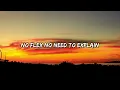 Iron Jarl - Natty or Not (Lyrics)