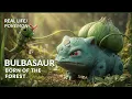 Real Life Pokemon Bulbasaur Born of the Forest Pokemon Documentary
