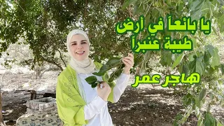 أنشودة يا بائعا في أرض طيبة عنبرا هاجر عمر 