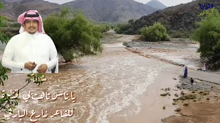 فلكلور شعبي يا ناس تاهت بي الخطوة بين المعقص وشمراني للشاعر زارع البارقي  شيلة دندنها