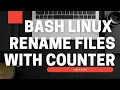 Rename multiple files in Linux using counter iterator - Bash