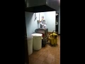 La original banda el limón macario leyva