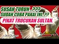 Download Lagu Trucukan pikat ampuh ada trucukan berisik dan trucukan betina untuk yang susah turun