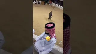 الليالي والظروف اهم شي اخر شي ضحك الشاعر احمد العماش 