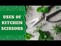 How to Use Kitchen Scissors