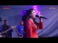 Download Lagu LUKAKU - INTAN AFIFAH NEW PALLAPA (COVER LIVE PERFORM) || RAOBECMEN KONTEK'S 2023