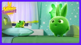 A Cozy Home for Mimi! 🐸 - Sunny Bunnies | Kids Cartoons | WildBrain Sunshine City