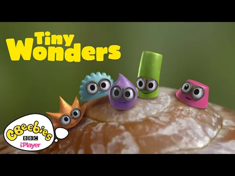 Tiny Wonders | Official Trailer | CBeebies
