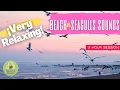 Download Lagu 🎧😴BEACH SOUNDS WITH SEAGULLS 🌊