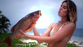 Ep. 386 The Spearfishing Killer is back | Panamanian Paradise Diaries