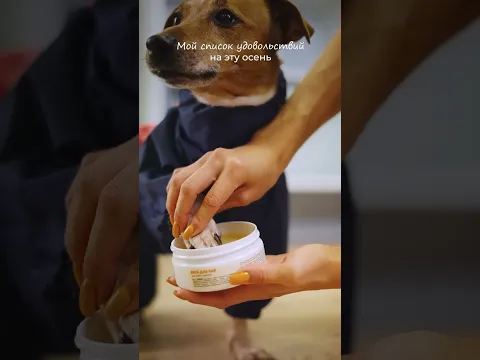 Планы питомца на ноябрь 🧡