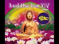 Buddha-Bar XIV - ShiftZ Feat. Hiba El Mansouri - Ahwak