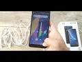Walton Primo H8 Rose Gold Hands on Review