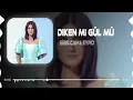 Sibel Can & Eypio   Diken Mi Gül Mü  Ferhat kılıç Remix