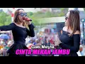 CINTA MERAH JAMBU GANTI MAILA ONE PRO PEMUDA ARPAS GRAJAGAN BANYUWANGI