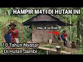 10 TAHUN HILANG DI TENGAH HUTAN JAMBI TINGGAL DAN TIDUR DI RUMAH POHON UNIK SENDIRAN