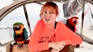 MISTAKE! Taking the Road Less Traveled | Sailing Wisdom [S5 Ep22]