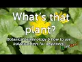 Download Lagu What's That Plant? How to Use Botanical Keys to Identify Common Irish Wildflowers  - For Beginners!