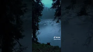 اعطيت لنفسي اسم فنان  دندنها