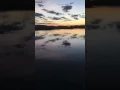 Topwater Action April 11 2017 Part 4 - Haddrell s Point Tackle