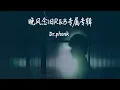 独处频率 (R&B治愈氛围版) - Dr.Phonk