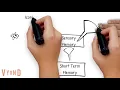 Information Processing Theory Explained