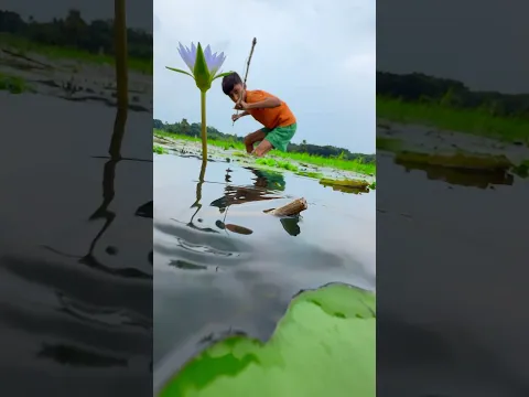 Village amazing fishing by hook #fishing #hookfishing #shorts