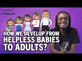 Stages of Human Development Introduction to Psychology 13 of 30 Study Hall