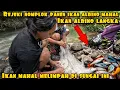 Download Lagu IKAN ALBINO MAHAL BERSERAKAN DI SUNGAI AUTO PANEN