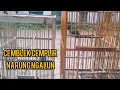 Download Lagu Cemblek cemplir narung ngalun