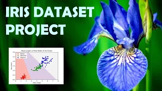 Supervised Machine Learning Project - Iris Dataset Classification Python Pandas Seaborn SkLearn