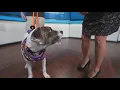 Sammy s Stars Oct 10 2025