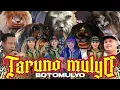 Lagu BARONGAN TARUNO MULYO - LIVE BOTOMULYO CEPIRING KENDAL