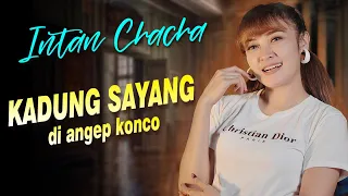 intan chacha kadung sayang di angep konco lagu terbaru dari intan chacha official music video 