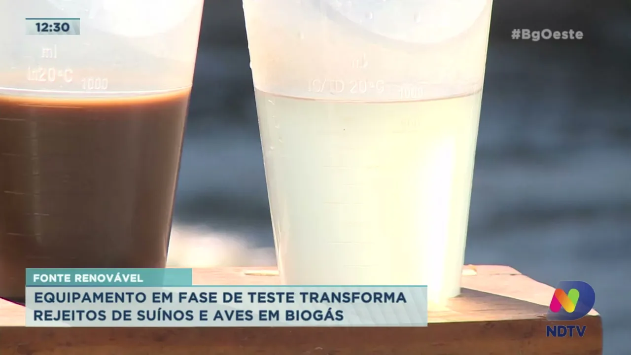 Equipamento em fase de teste transforma rejeitos de suínos e aves em biogás