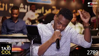 مأمون سواء الدهب المالك شعوري 