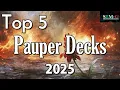 Mtg Top 5 Pauper Decks in 2025