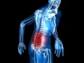 Download Lagu Lower Back Pain Relief Music: Heal Back Pain, Healing Frequency Subliminal