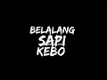 Download Lagu Pok ami² belalang sapi kebo😂😂🤣🤣🤣🤣