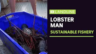 Download Lobster Man: The Eastern Rock Lobster fishery of NSW | ABC News MP3